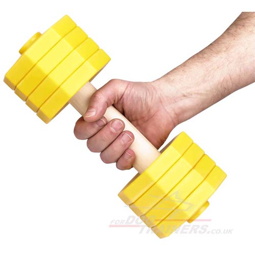 quality wooden dumbbells for dog training